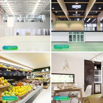 Kućna LED globus žarulja, visoka svjetlost, konstantni tok, E27 utičnica, aluminijsko tijelo s plastičnim premazom, IP65, LED 2835