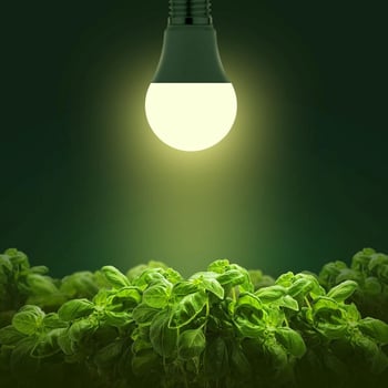 LEDA19 LED lampa za rast biljaka s punim spektrom, US standard 4000K, 11W, promjenjiva jačina svjetla