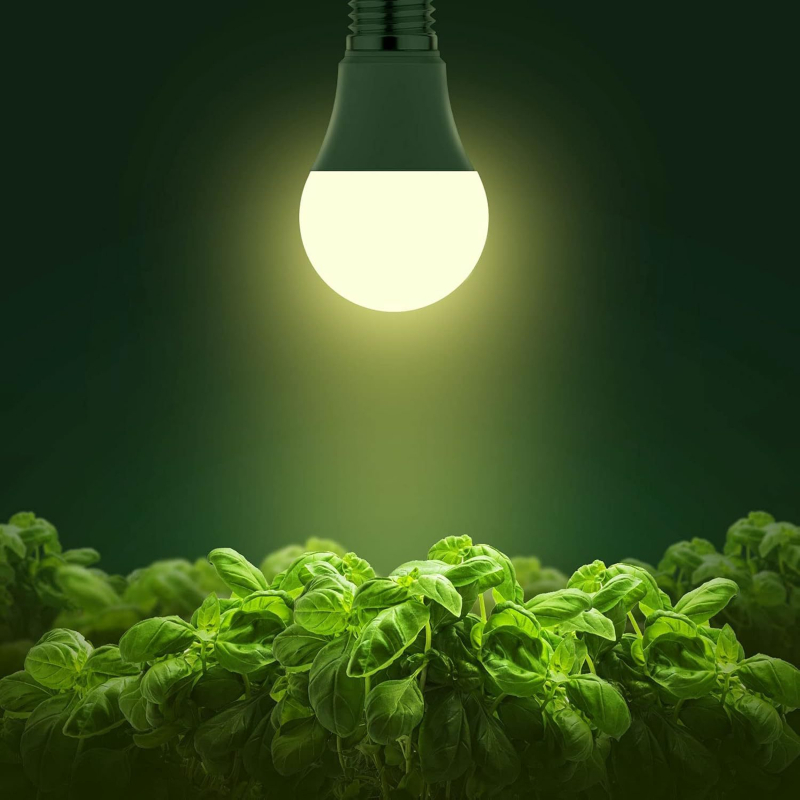 LEDA19 LED lampa za rast biljaka s punim spektrom, US standard 4000K, 11W, promjenjiva jačina svjetla