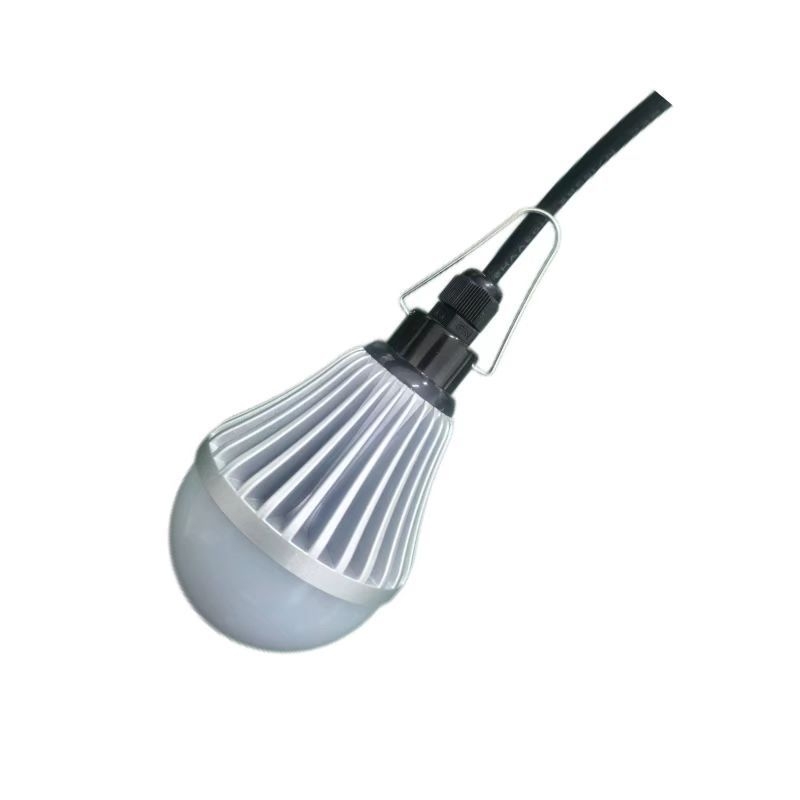 36V 12W Vodootporna LED tunelska svjetiljka za more, brodogradnju i rudničke tunele IP68