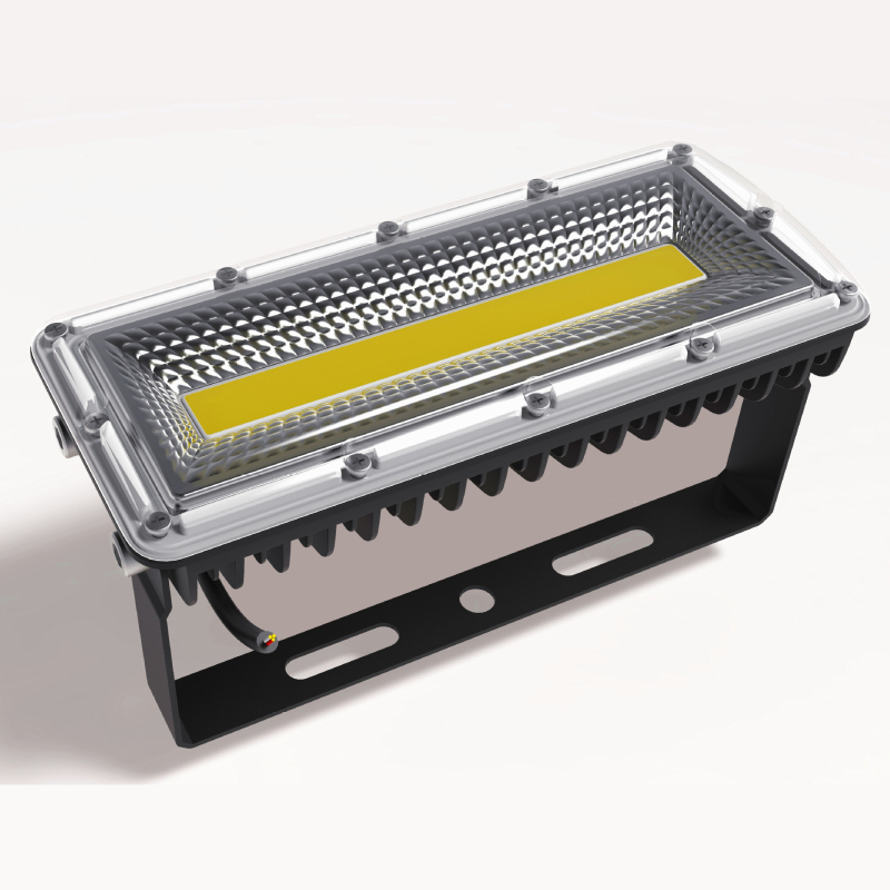 LED eksplozijski vanjski floodlight, vodootporan, 50/150 W, visoka svjetlost za reklamno projiciranje, 100 W, aluminijsko kućište, IP65, 220 V