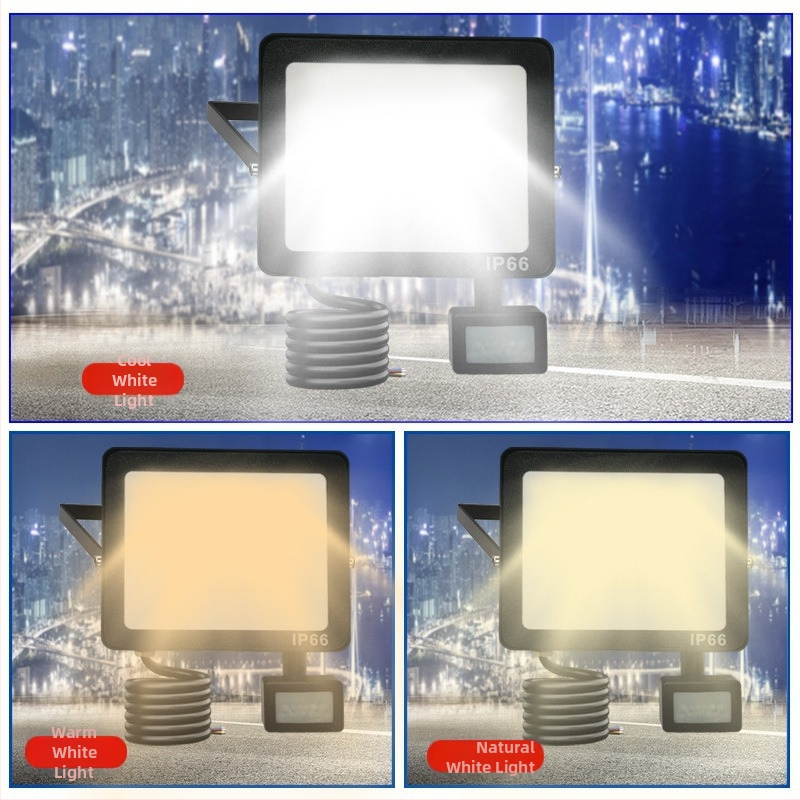 IP66 vodootporan vanjski LED reflektor s PIR senzorom, daljinskim upravljanjem, regulacijom jačine i boje za dvorište