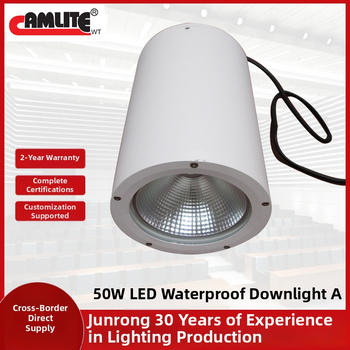 50W vodootporni LED downlight za unutarnju i vanjsku upotrebu – ugradnja na strop s visećim nosačem