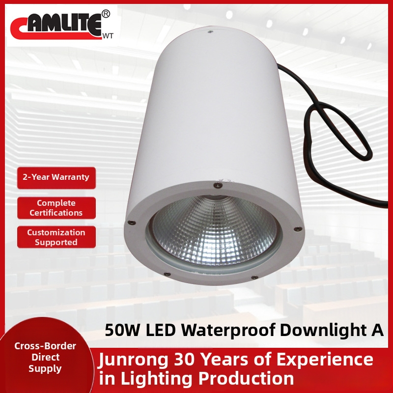 50W vodootporni LED downlight za unutarnju i vanjsku upotrebu – ugradnja na strop s visećim nosačem