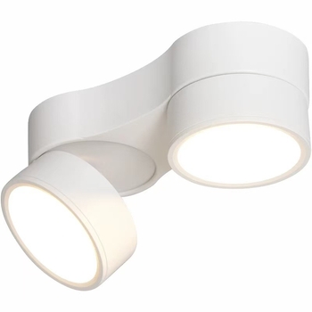 LED downlight s površinskom montažom, podesivi kut, dvostruka glava, visoka svjetlost, za dnevnu sobu i hodnik
