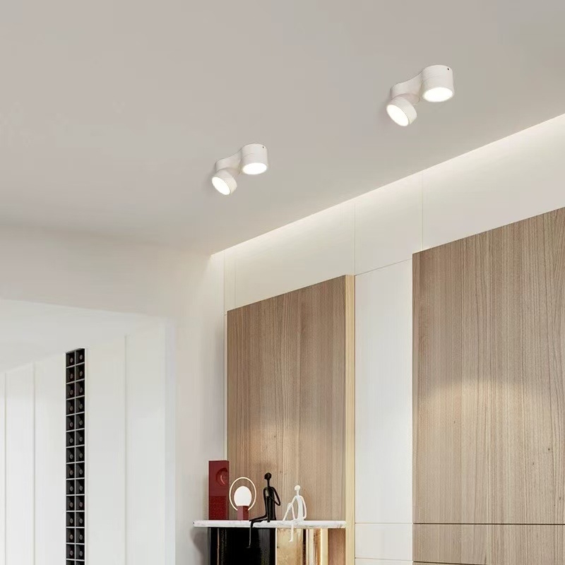 LED downlight s površinskom montažom, podesivi kut, dvostruka glava, visoka svjetlost, za dnevnu sobu i hodnik