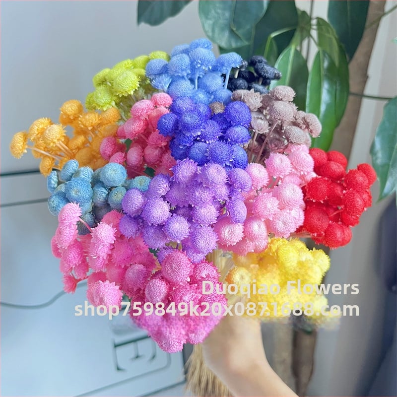 Večne kvety – Gypsophila hviezdový kvet – mini DIY materiál na kvetinový aranžmán s skleneným krytom a akrylom pre domáce dekorácie