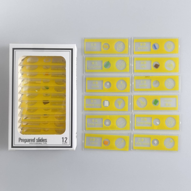 Slide-uri din plastic pentru microscop cu probe mixte de animale și plante pentru copii – insecte și plante