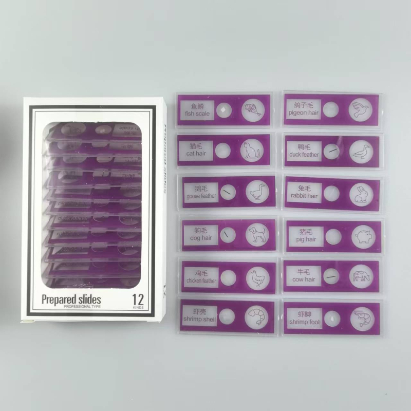 Slide-uri din plastic pentru microscop cu probe mixte de animale și plante pentru copii – insecte și plante