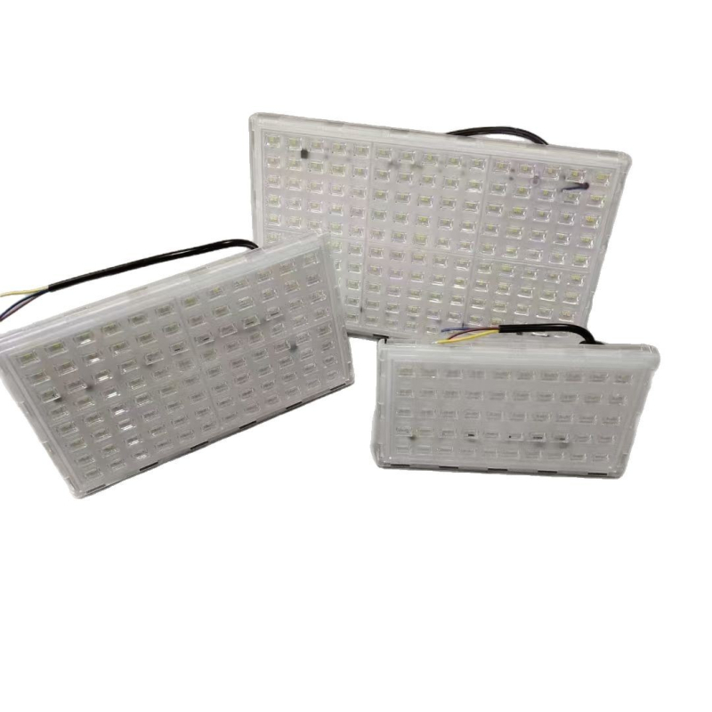 Ant-Style LED reflektor, 50W, visokoučinkovito vanjsko osvjetljenje, IP66 vodootporno, energetski štedljivo osvjetljenje za dvorište, tvornicu i skladište