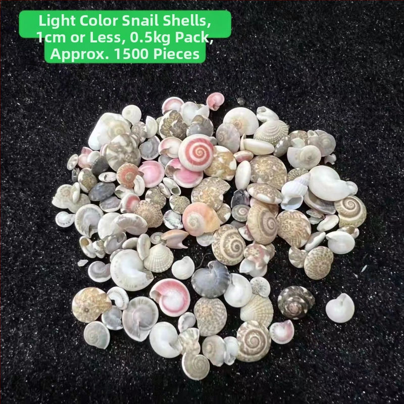Stil mediteranean: scoici și stele de mare, lucrate manual, pentru decor