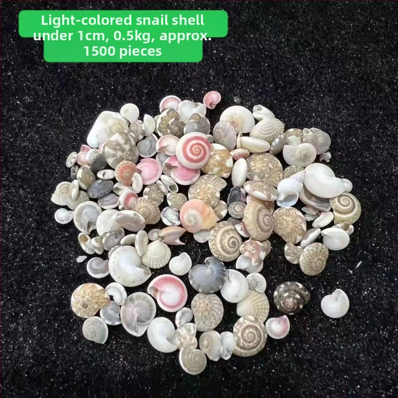 Stil mediteranean: scoici și stele de mare, lucrate manual, pentru decor