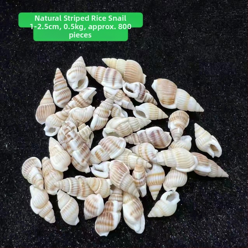 Stil mediteranean: scoici și stele de mare, lucrate manual, pentru decor