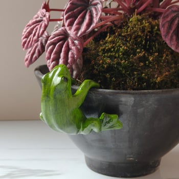 Privjesak od smole s crtanim žabom za bonsai i vrtni ukras