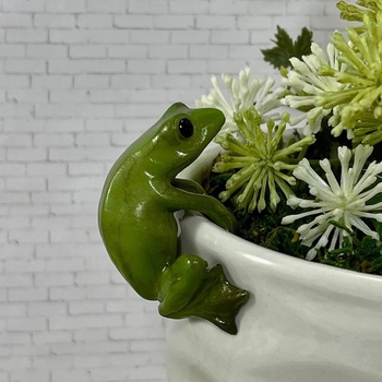 Privjesak od smole s crtanim žabom za bonsai i vrtni ukras