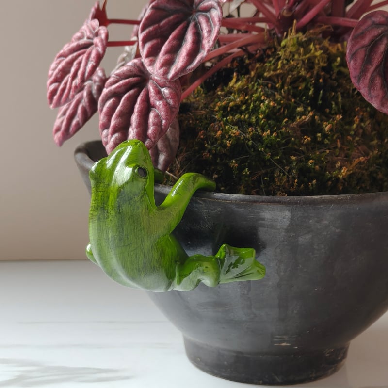 Privjesak od smole s crtanim žabom za bonsai i vrtni ukras