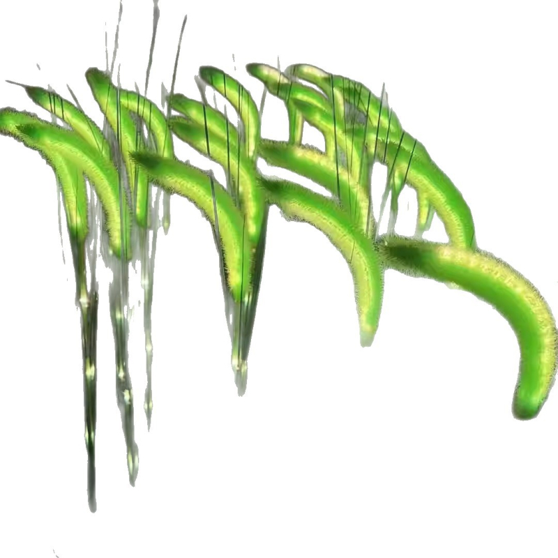 Lămpi solare în formă Foxtail Grass pentru parcuri, spații pitorești și curți — iluminat peisaj rezistent la apă