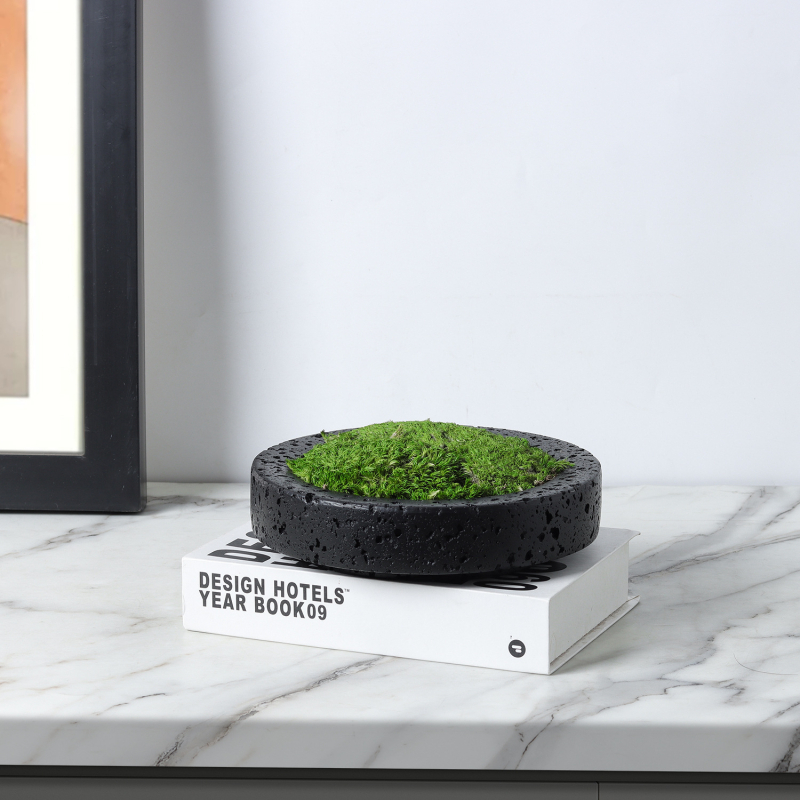 Vječni mah bonsai — zeleni mah dekorativni predmet za dom na kavnim stolovima, blagovaonskom stolu, radnom stolu i noćnom ormariću