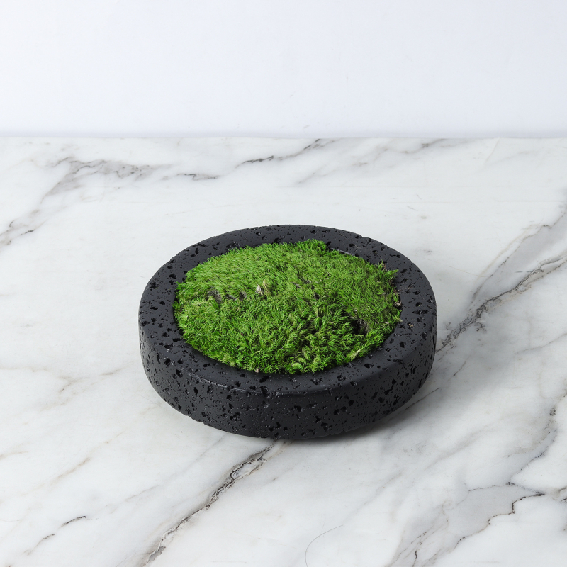 Vječni mah bonsai — zeleni mah dekorativni predmet za dom na kavnim stolovima, blagovaonskom stolu, radnom stolu i noćnom ormariću
