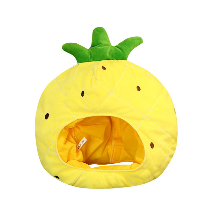 Ananas šešir za fotografiranje i prijenos uživo