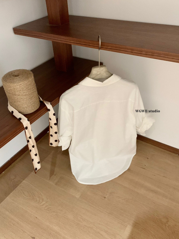 WGWE8910 Proljetna bluza od lana i pamuka, opuštenog kroja, jednofarbna, polo ovratnik, dugi rukav, casual top za žene
