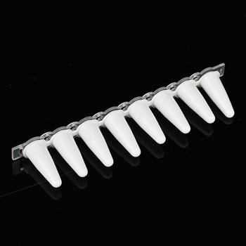 0,1 ml és 0,2 ml átlátszó porcelánfehér nyolcsövű centrifugáló csövek kupakkal qPCR-hez