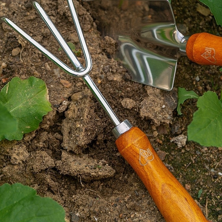 Alice Kert lopata od nehrđajućeg čelika s drvenom ručkom za sadnju cvijeća i povrća (trodjelni set)