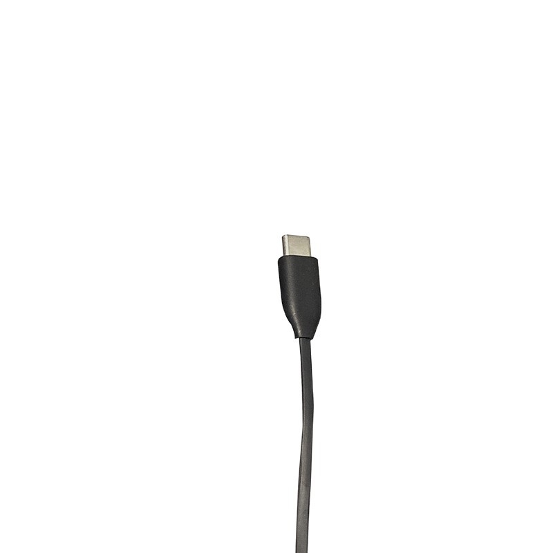 Žične in-ear slušalice USB-C za iPhone 15 i Android uređaje