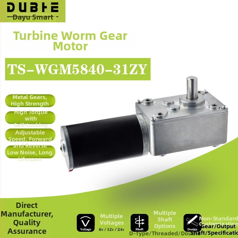 5840-31ZY DC motor s vretenovým reduktorom, 12–24V regulácia rýchlosti, samo-zamykací prevod, vysoký krútiaci moment, dvojité uloženie