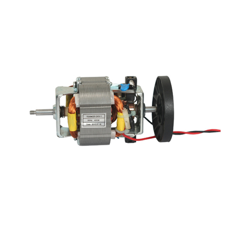 12V DC četkasti motor sa stalnim magnetom, mikromotor