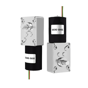 Motor DC brushless cu angrenaj melcat, 12V/24V, reglaj viteză, auto-blocare, înaltă putere