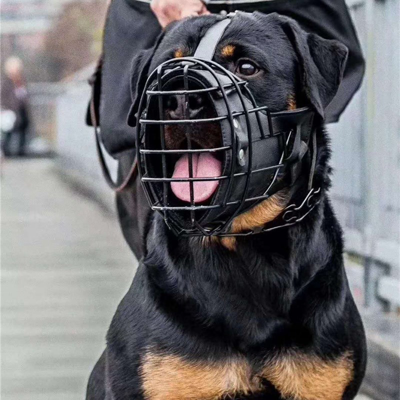 Taktička pseća njuška za Malinois, Zlatnog retrivera i Njemačkog ovčara – zaštita od ugriza za obuku
