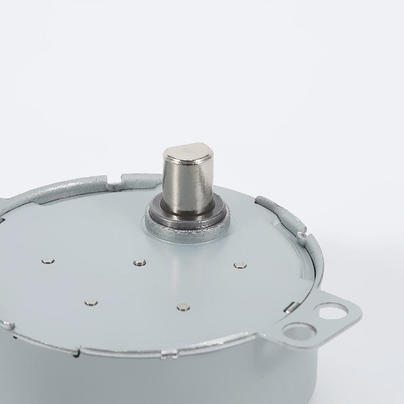 49TYJ-CXII Claw-Pole Permanentni magnetni sinhroni motor 220V za ventilatore i ovlaživače, mikro motor