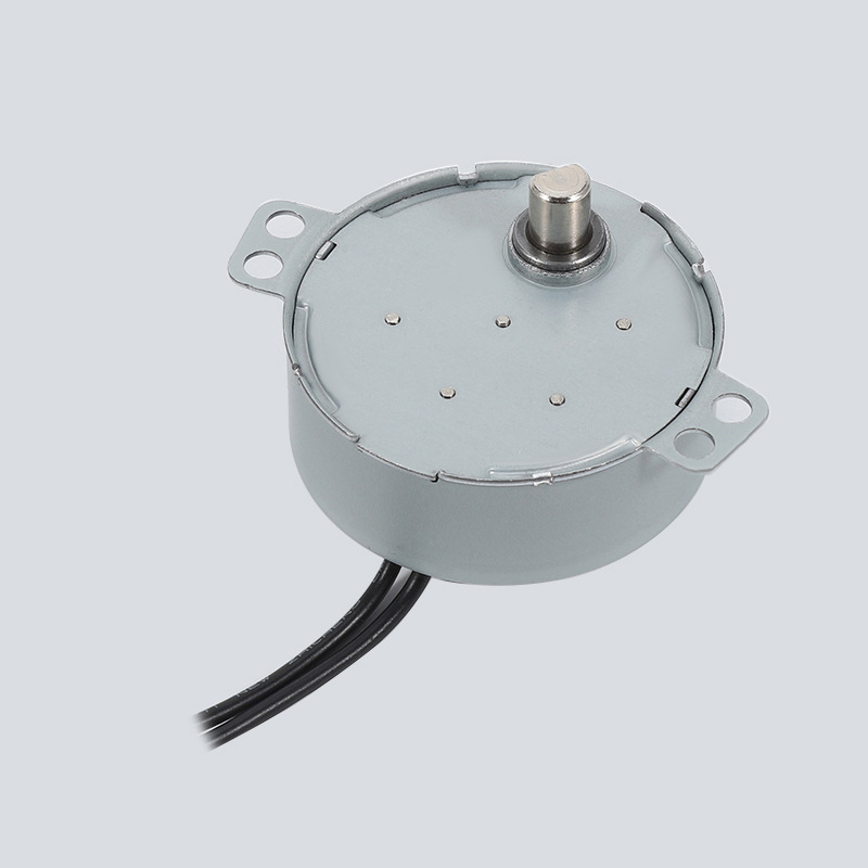 49TYJ-CXII Claw-Pole Permanentni magnetni sinhroni motor 220V za ventilatore i ovlaživače, mikro motor