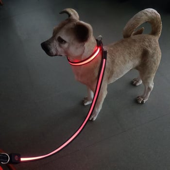 LED svjetleći povodac za pse, USB punjiv, noćna upotreba, dvostruki dizajn za sprječavanje gubitka