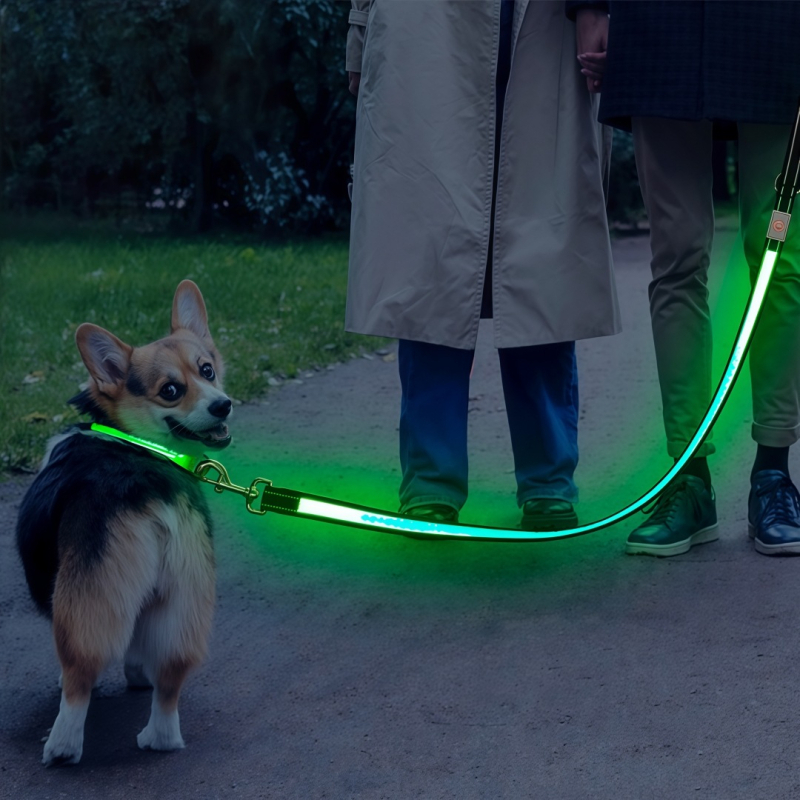 LED svjetleći povodac za pse, USB punjiv, noćna upotreba, dvostruki dizajn za sprječavanje gubitka