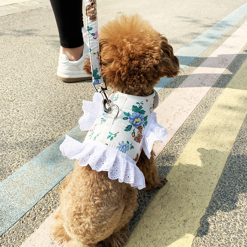 Hamak u teddy stilu s vodilicom za male pse (Bichon Frisé, Pomeranian).