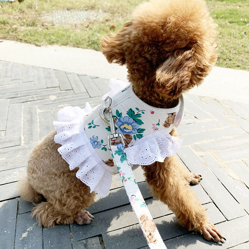 Hamak u teddy stilu s vodilicom za male pse (Bichon Frisé, Pomeranian).
