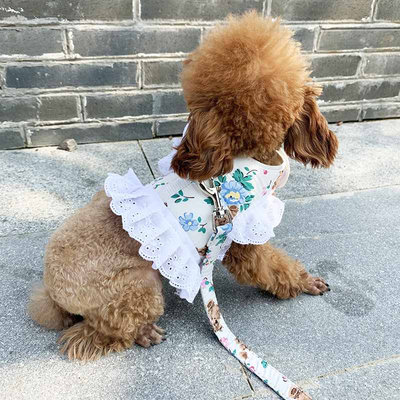Hamak u teddy stilu s vodilicom za male pse (Bichon Frisé, Pomeranian).