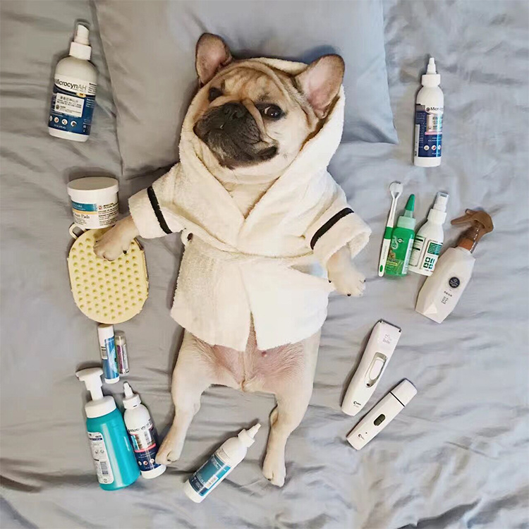 Absorbentni psi ogrtač-ručnik za male pse - French Bulldog, Pug, Corgi