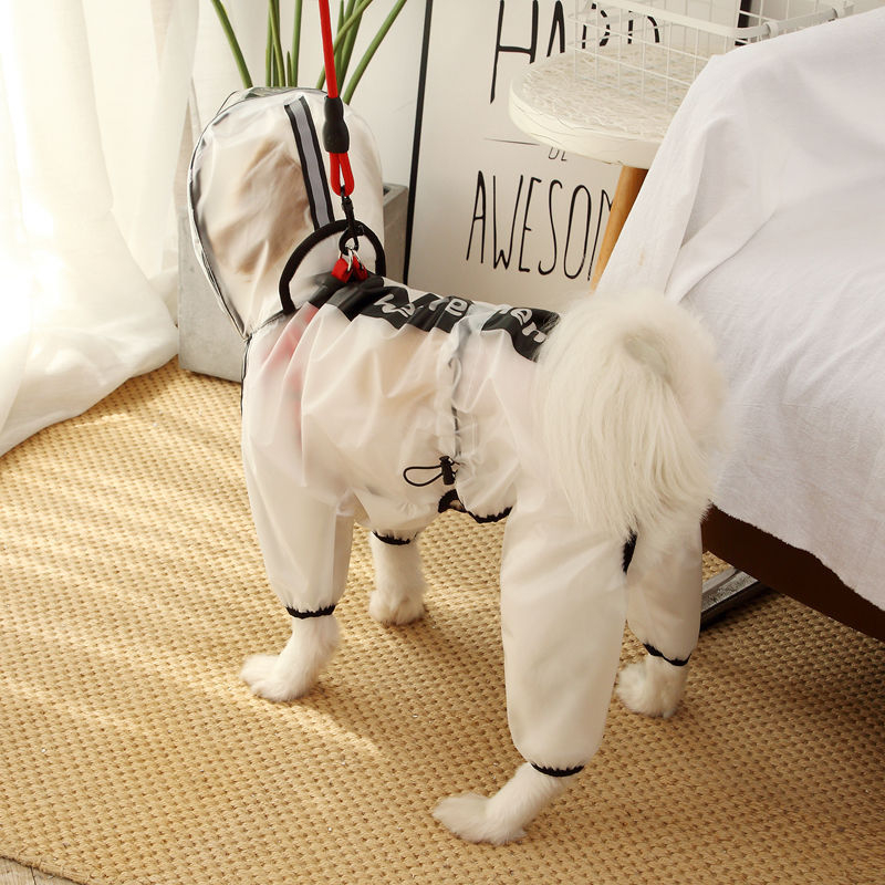 Teljes lefedésű esőkabát kutyáknak, kicsi–közép–nagy testűek számára, Teddy, Bichon és Golden Retriever.