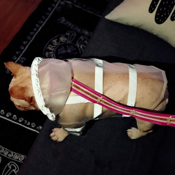 Reflektirajući kišni kaput za kućne ljubimce — vodootporni kaput za pse, pogodan za francuskog buldoga i corgija