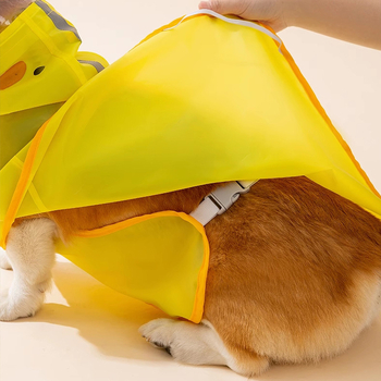 Nepropusni kišni kaput za pse u kačjem stilu, za corgi i dachshund, za male i srednje pse
