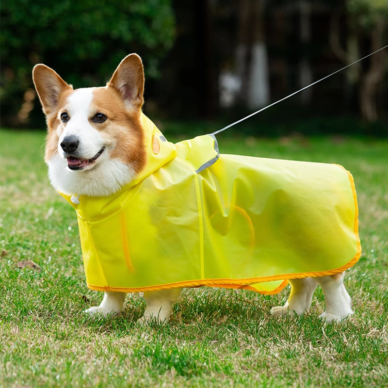 Nepropusni kišni kaput za pse u kačjem stilu, za corgi i dachshund, za male i srednje pse