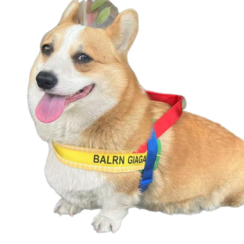 Nylon harnes i set za šetnju za male i srednje pse, Corgi i Shiba Inu