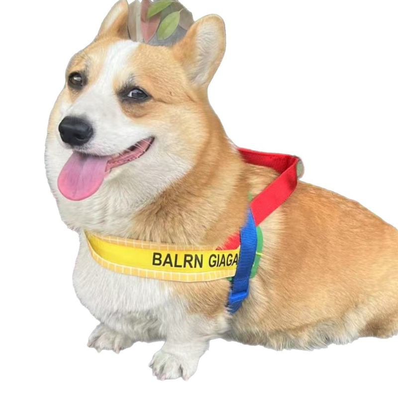 Nylon harnes i set za šetnju za male i srednje pse, Corgi i Shiba Inu