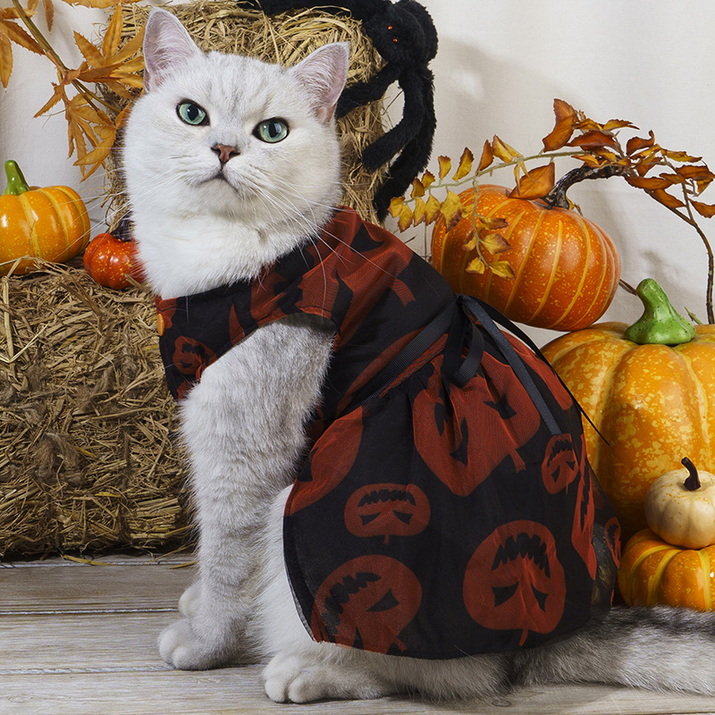 Prilagođena haljina za pse za Halloween, mrežasta čipka s motivom tikve, prozračna, crvena, za male pasmine