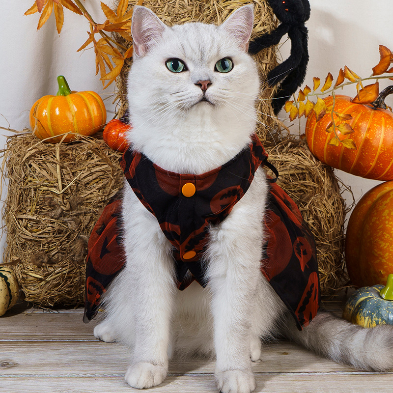 Prilagođena haljina za pse za Halloween, mrežasta čipka s motivom tikve, prozračna, crvena, za male pasmine