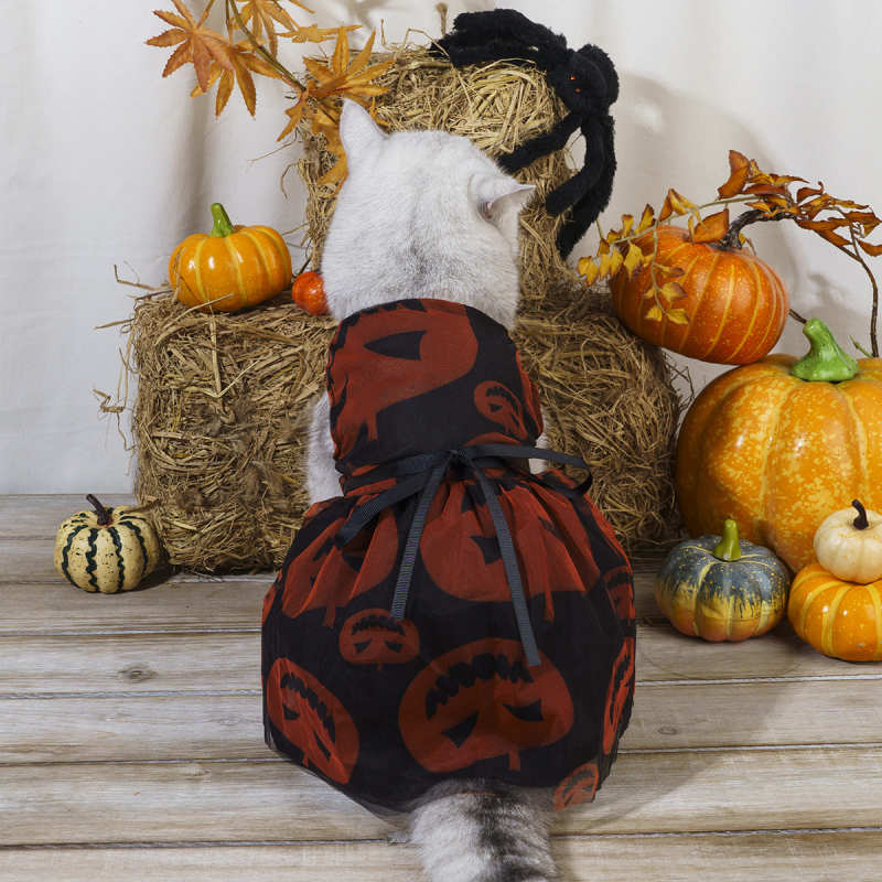 Prilagođena haljina za pse za Halloween, mrežasta čipka s motivom tikve, prozračna, crvena, za male pasmine
