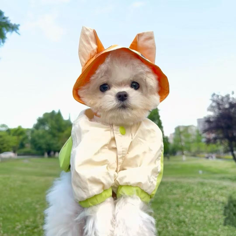 Vodootporna jakna za pse za Schnauzer, Bichon Frise, Teddy, Shiba Inu i West Highland White Terrier